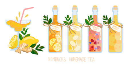 Kombucha homemade fermented raw tea in glass bottles set. Healthy natural probiotic drink with ginger, berry, citrus, original and alcoholic variations. Vector illustration elements collectionsのイラスト素材