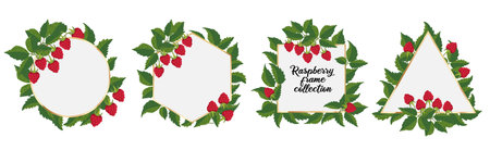 Raspberry frame. Set of golden frames with raspberry sprigs, berries, and leaves. Elements for design of congratulation, invitation, card, banner, wedding. Vector template Isolated on white backgroundのイラスト素材