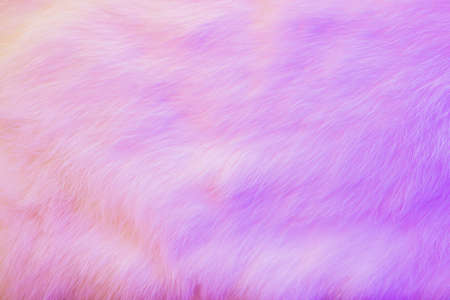 Fur rabbit background. Light gentle colored pink fur texture with idealistic structure of hairs for aesthetic and perfect design.の写真素材