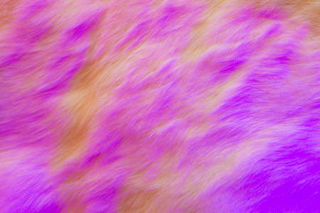 Fur pink background. Vivid bright pink fur texture of flaffy rabbit with idealistic structure of hairs, for brave, juicy, boho, aesthetic, and perfect designの写真素材