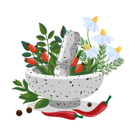 Herbals in a stone mortar bowl. Herbal mortar and pestle. Medicinal plants - chamomile, rosehip, pepper. Folk medicine concept. Vector illustration isolatedのイラスト素材