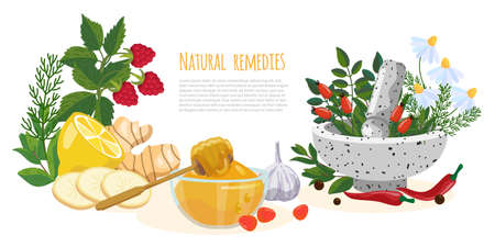 Natural remedies or folk medicine banner. Raspberry, gingrer, honey, garlic, pepper, chili, chamomile, lemon, rose hips, mint, mortar and pestle. Herbalism and Ayurveda concept with place for textのイラスト素材