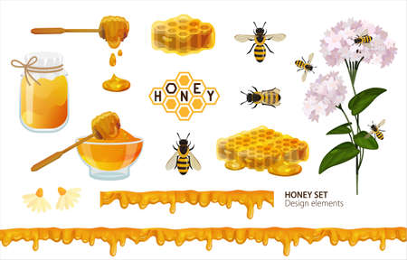 Honey set. Design elements with bees, honeycomb, wooden spoon, jar with liquid honey and seamless border dripping, flowering plants of buckwheat and chamomile with honeybee. Vector illustrationのイラスト素材