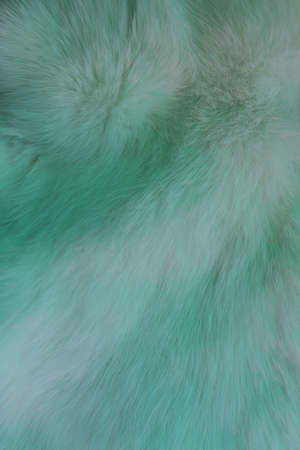Fur background texture with pale green hue. Fluffy rabbit fur with idealistic structure of hairs for aesthetic and perfect designの写真素材