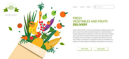 Web page design template for grocery store, online market, farm, home delivery fresh vegetables and fruits. Vector illustration for website development, app mobile. Fresh organic food in cardboard bagのイラスト素材