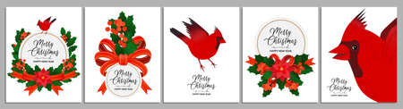 Christmas Greeting Cards template set with holly wreath, red cardinal bird, poinsettia flower, red satin ribbons and copy space. Universal artistic holidays xmas card templates.のイラスト素材