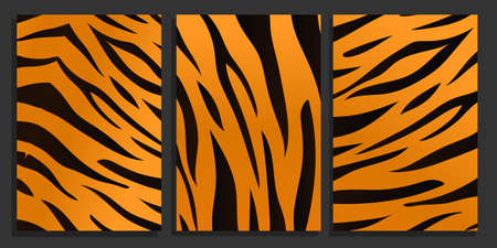 Tiger skin texture background set. Tigers black and orange stripes fur background collection. Vector background patternのイラスト素材