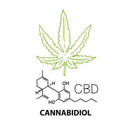 Cannabidiol CBD banner concept with chemical formula and hemp cannabis leaf. Vector illustration banner in outline style isolated on white backgroundのイラスト素材