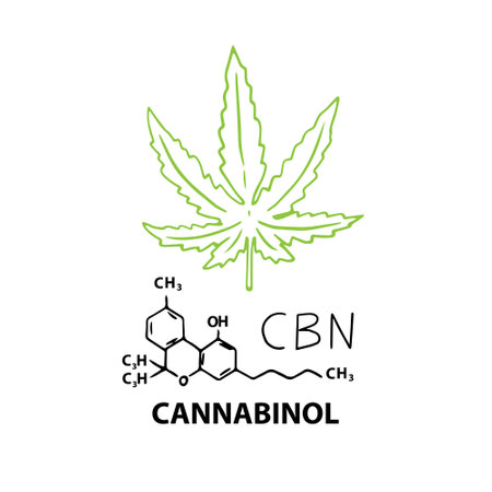 Cannabinol CBN banner concept with chemical formula and hemp cannabis leaf. Vector illustration banner in outline style isolated on white backgroundのイラスト素材