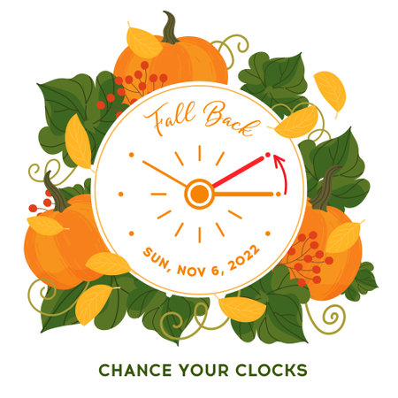Pumpkin set in cartoon style. Autumn Pumpkins vector illustration with leaves isolated on white background. Orange cartoon pumpkins for fall decoration design, clipart elementsのイラスト素材