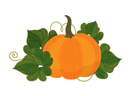Pumpkin in cartoon style. Pumpkin vector illustration with leaves isolated on white background.のイラスト素材