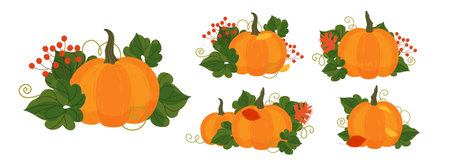Pumpkin set in cartoon style. Autumn Pumpkins vector illustration with leaves isolated on white background. Orange cartoon pumpkins for fall decoration design, clipart elementsのイラスト素材