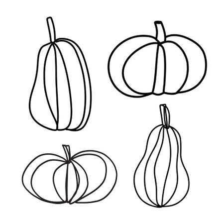 Pumpkins set in outline simple minimalist style. Line art pumpkins hand drawn vector illustration for fall and Halloween or Thanksgiving projects, simplicity and eleganceのイラスト素材