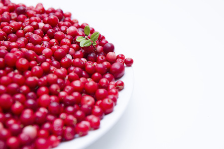 a part of cowberries plate