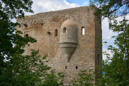 the ruins of lobdeburg castle in Jenaの写真素材