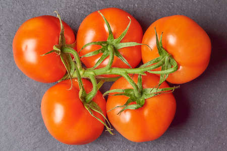 A branch of tomatoes on a black boardの写真素材