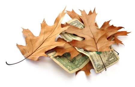 Old dollar banknotes which lay alternately with old leaves. An economic crisisの写真素材