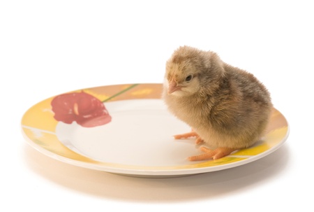 Chicken who is in a plateの写真素材