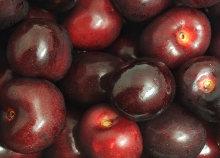 Freshly picked heap of cherries with water dropsの写真素材