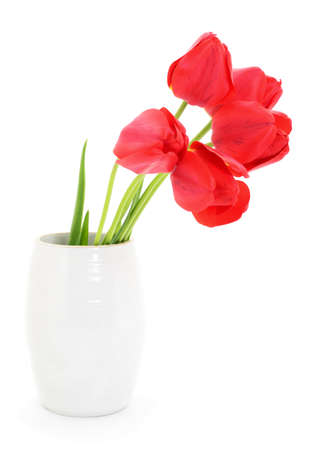 Red tulips in vase on a white background.の写真素材