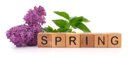 SPRING word and lilac flowers on a white background. Spring holidays concept.