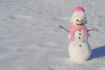 Snowman with carrot nose, and coal eyes/mouth on snowy fieldの写真素材