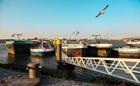 SPIJKENISSE, NETHERLANDS - April 17, 2020 Beautiful sunset in harbour, port, industrial landscape with shipsのeditorial素材