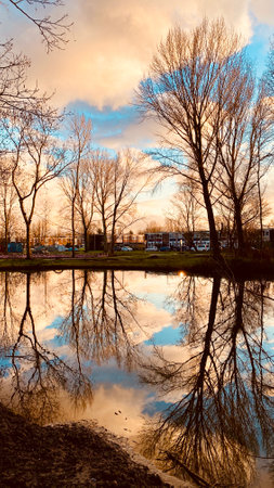 Reflection of trees on water in lake, winter time, weather, park in Hoogvliet, the Netherland. High...