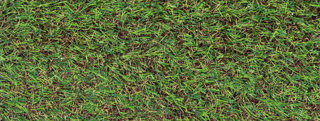 scanned portion of synthetic grassの写真素材