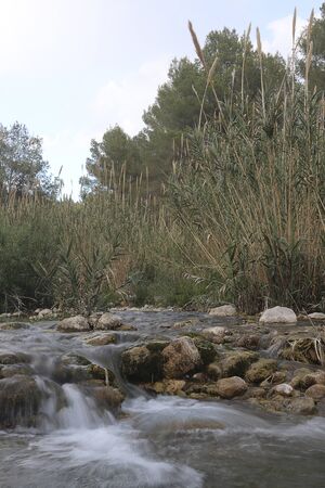 calm waters in a river