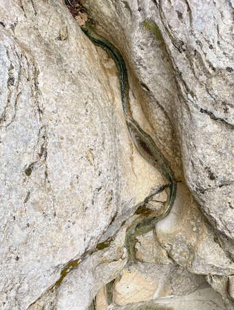 River bed between soft rocksの写真素材