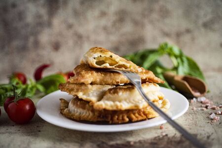 Pastries with meat. Fried pies with meat filling. Chebureksの写真素材