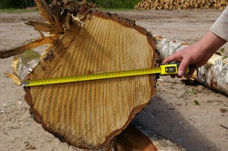 take measurements の写真素材