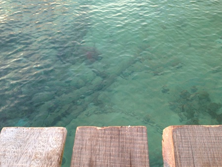 clear water at mabul islandの素材