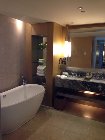 A toilet with bathtub at marina bay sands hotelの素材