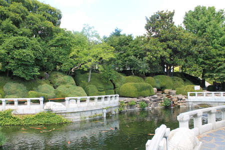 garden view in Busan, Korea