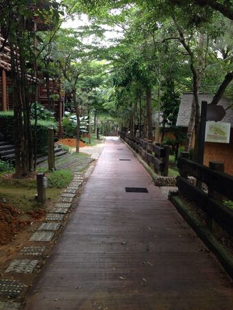 Walkway along the trees  の素材