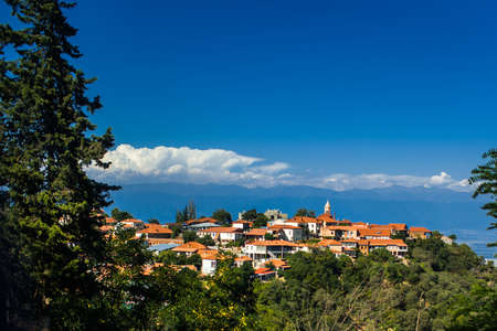 Panoramic view of the city with orange roofs.の写真素材