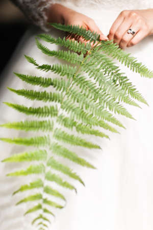 Engagement ring on bride's finger and leaf of fern.の写真素材