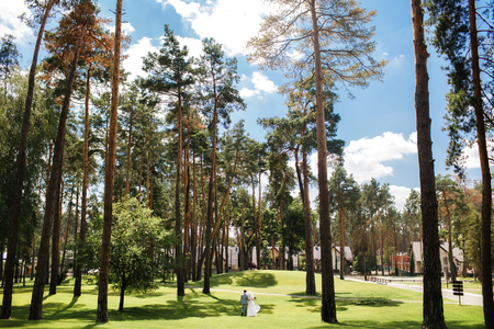Wedding couple walking in park among green trees and ahead row of houses.の写真素材