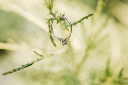 Wedding ring on the grass. Wedding dayの写真素材