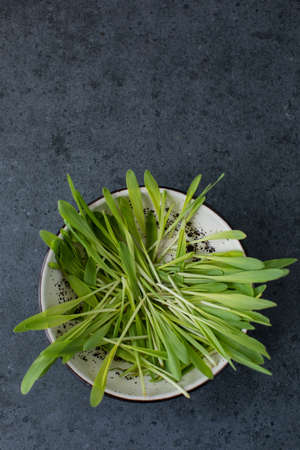 Vegan and fresh microgreen in a ceramic bowl.