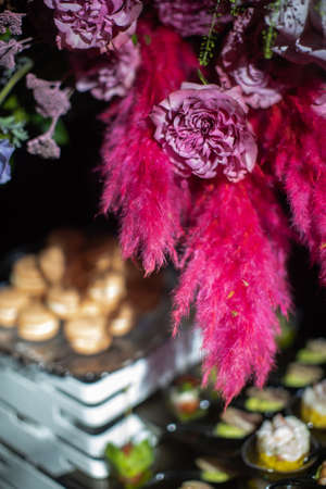 Raw healthy microgreen in a transparent box.の写真素材
