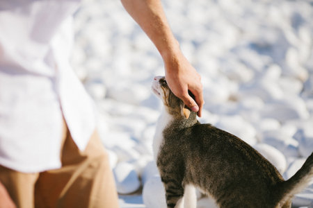 Young guy petting a cute cat on the street.