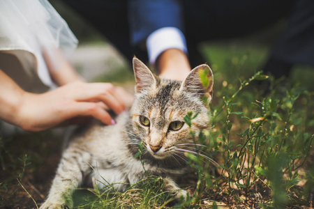 Young guy and girl petting a cute cat on the street.の写真素材