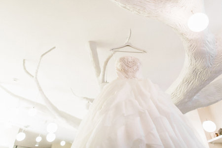 Wedding dress hanging on a white tree with lamps.の写真素材