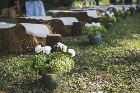 Beautiful and delicate flowers at the wedding ceremony. Row of flowers in bucketsの写真素材
