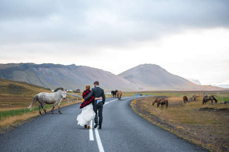 Bride and groom on their wedding day. The newlyweds are walking along the road to the horsesの写真素材