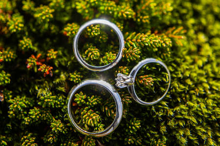Three wedding rings on green Icelandic moss.の写真素材