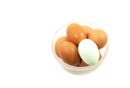 Chicken and duck eggs